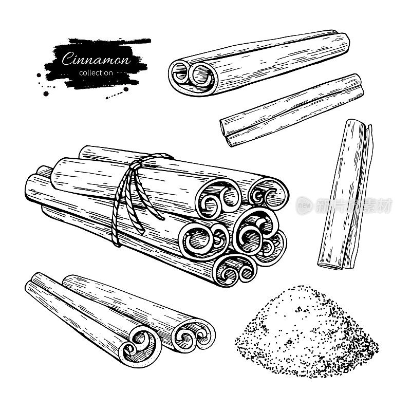 Cinnamon stick, tied bunch and powder set. Vector drawing. Hand drawn sketch.